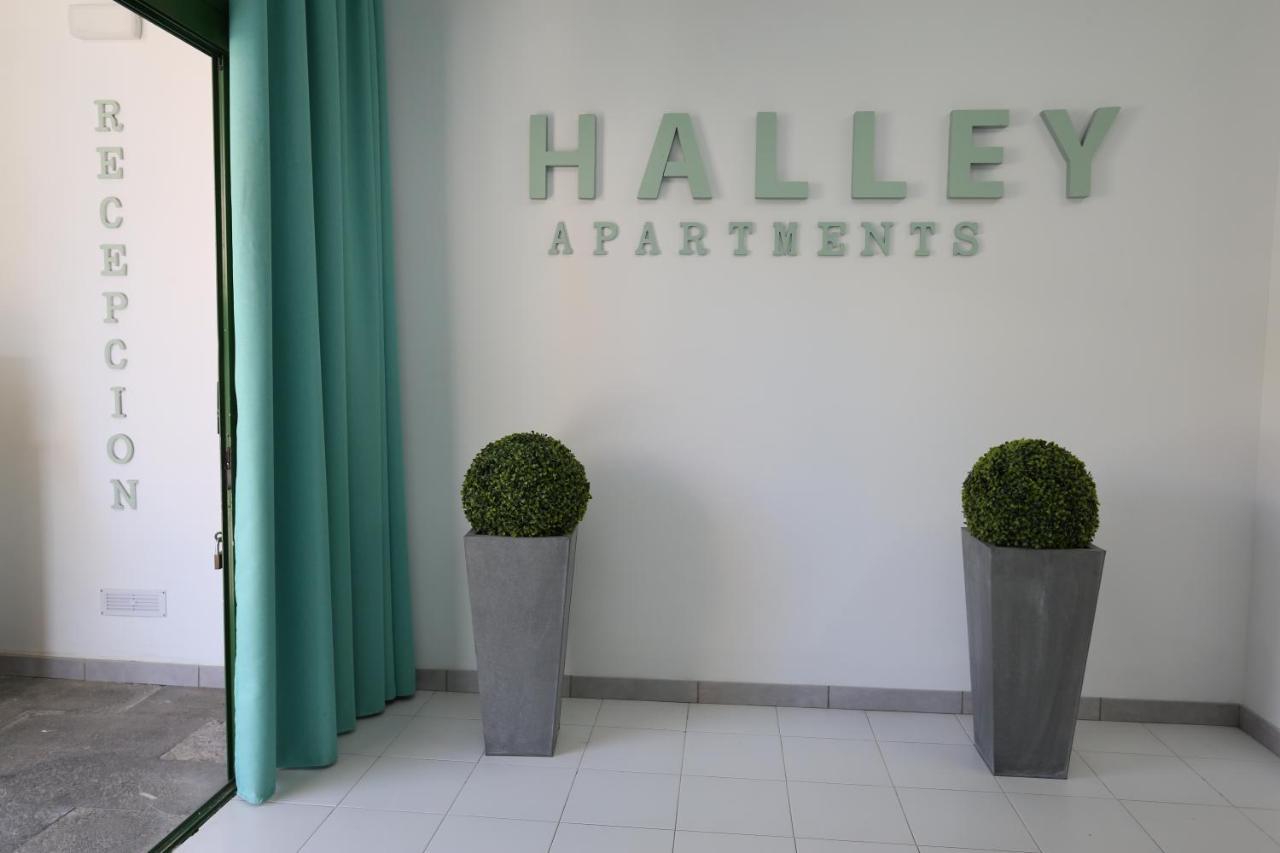 Halley Rooms Mogán Εξωτερικό φωτογραφία